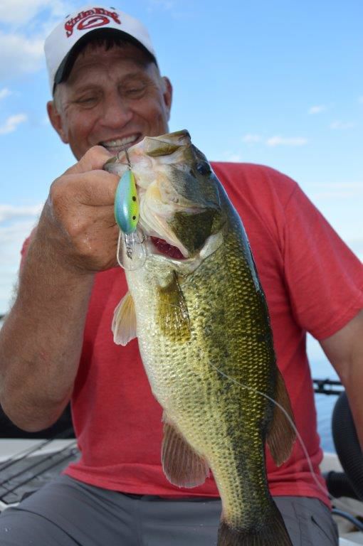 Largemouth bass